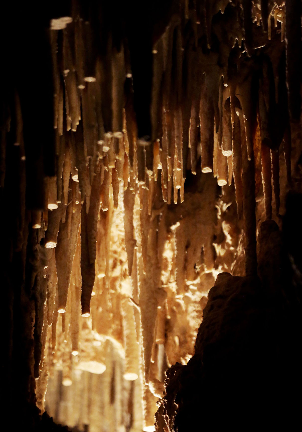 Colossal Cave Mountain Park